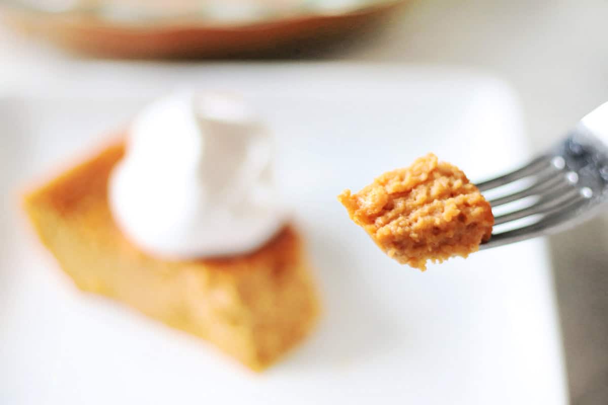 Bite of pumpkin pie on fork.