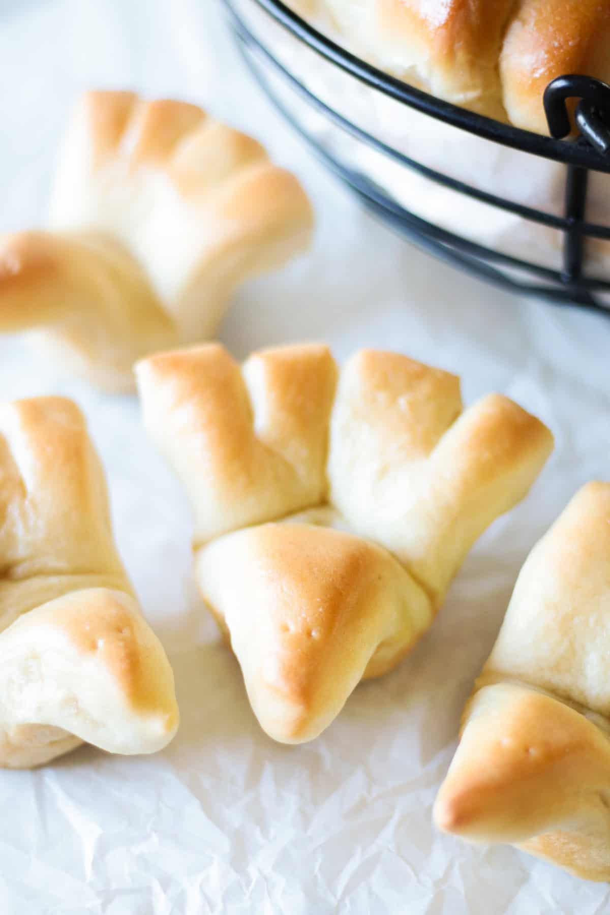 Turkey shaped dinner rolls.