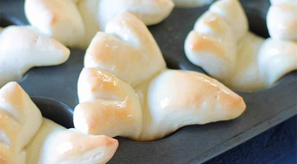 Turkey rolls in a pan.