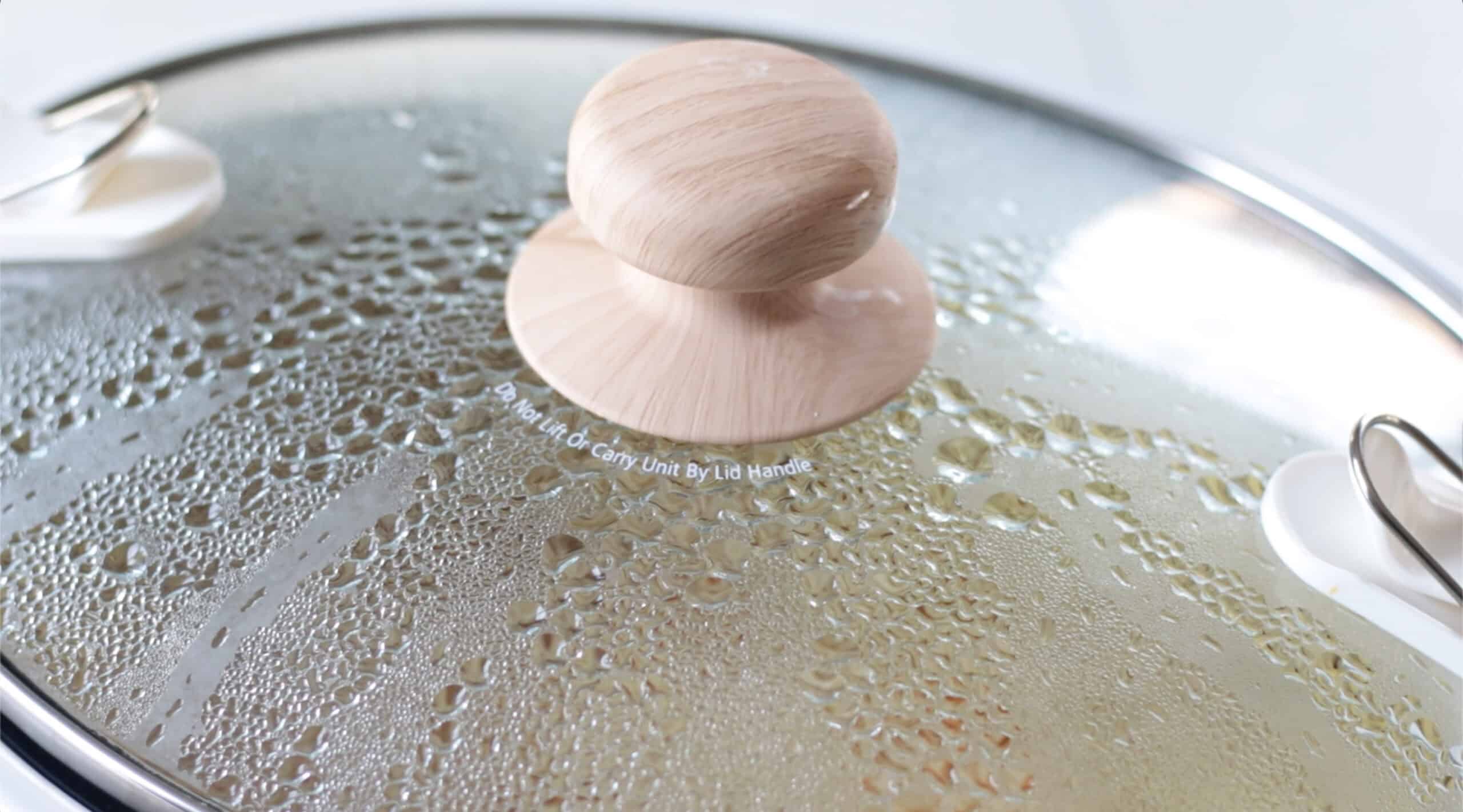 Slow cooker with lid.