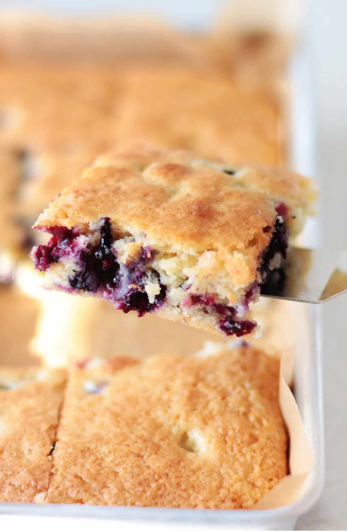 Slice of blueberry cake on spatula.