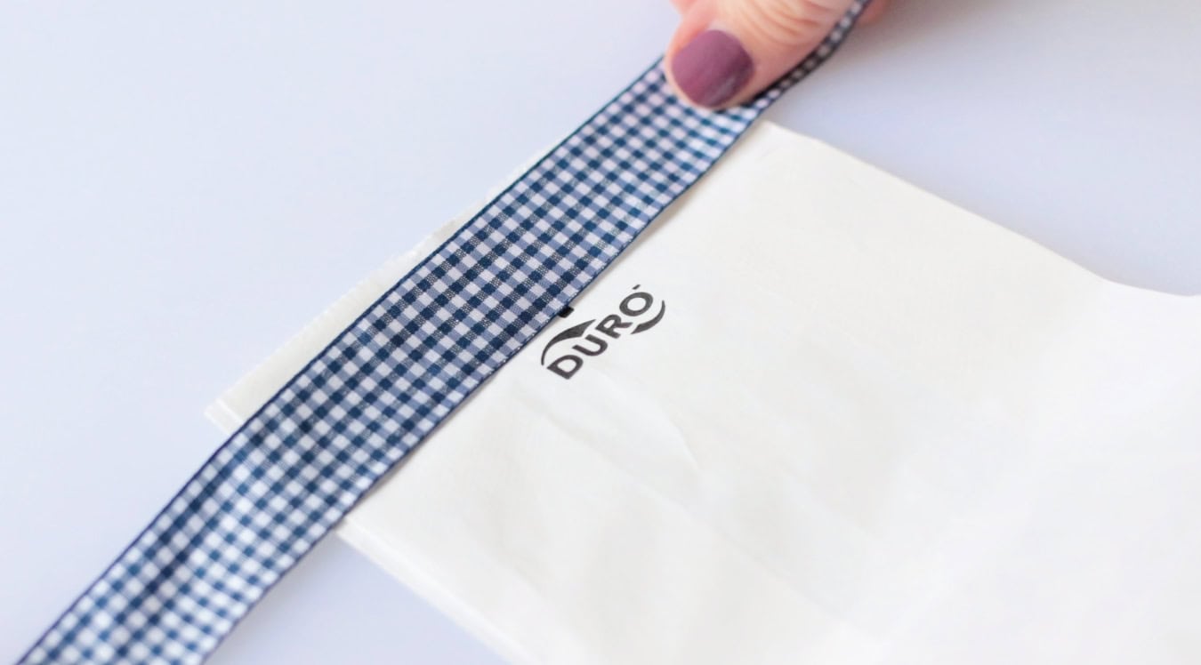 Blue and white checkered ribbon on top of white paper bag.