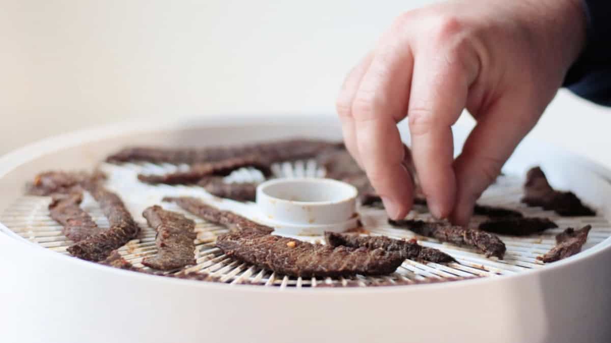 Hand flipping pieces of jerky over in dehydrator.