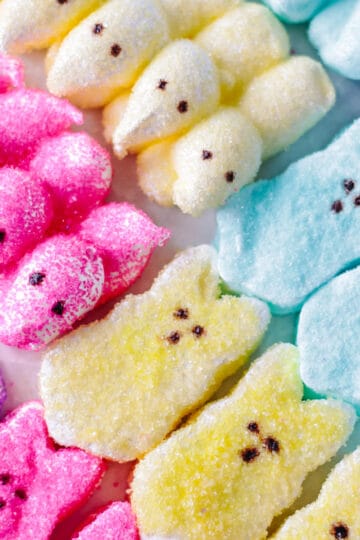 Homemade peeps marshmallows in bunny and chick shapes.