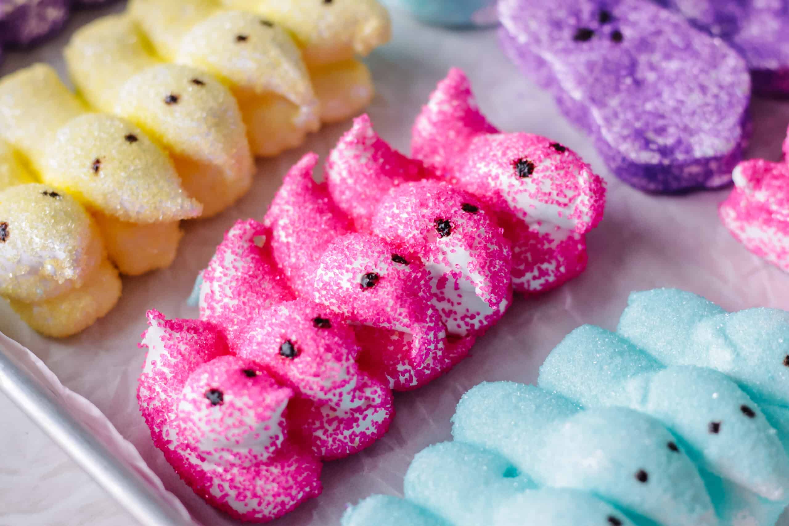 Chick peeps marshmallows on baking sheet.
