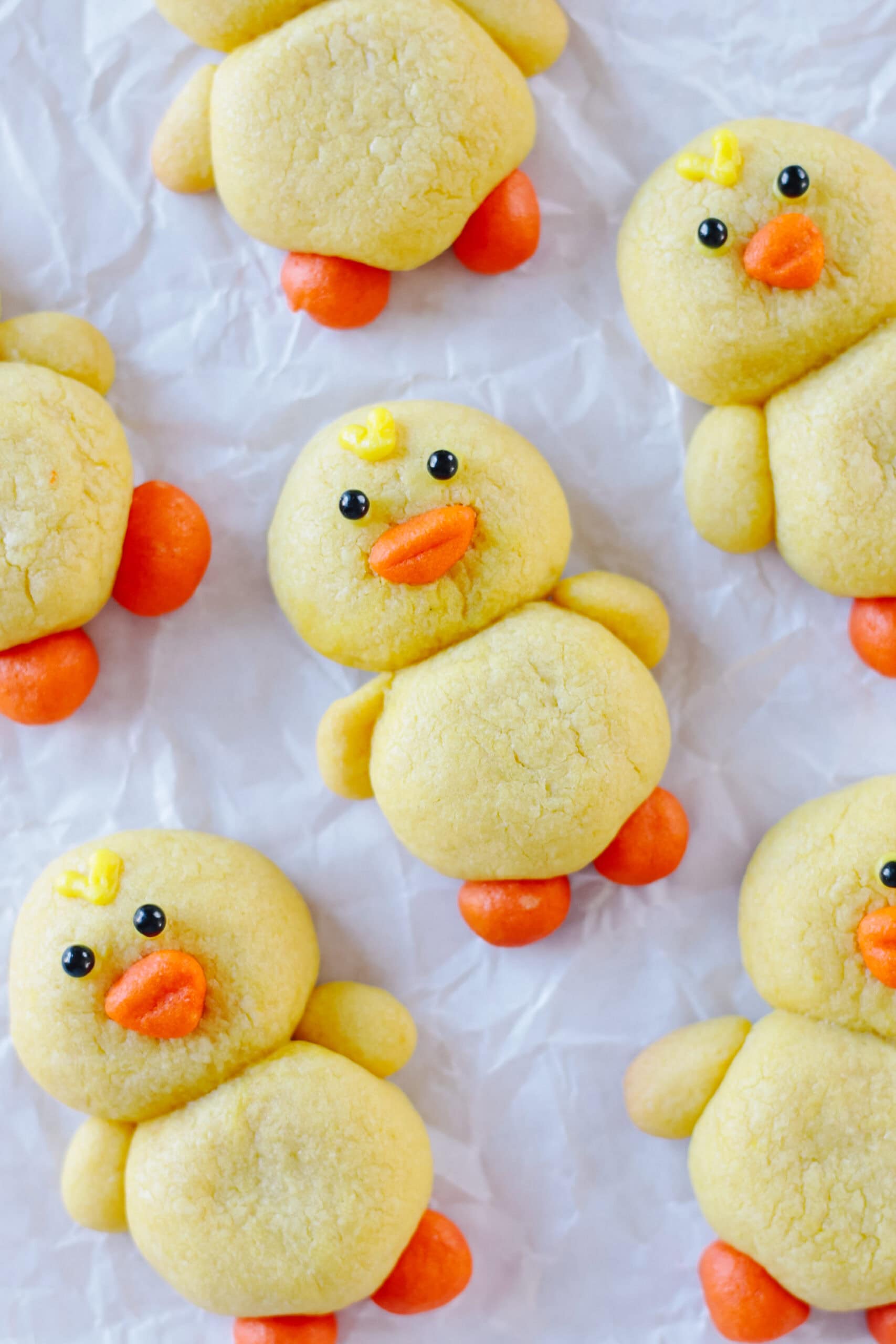 Chubby chick sugar cookies on parchment paper.