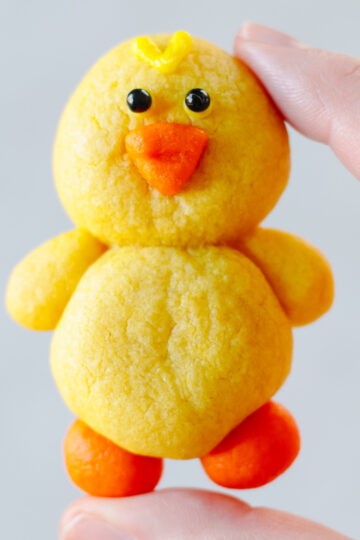 Hand holding yellow chick sugar cookie.