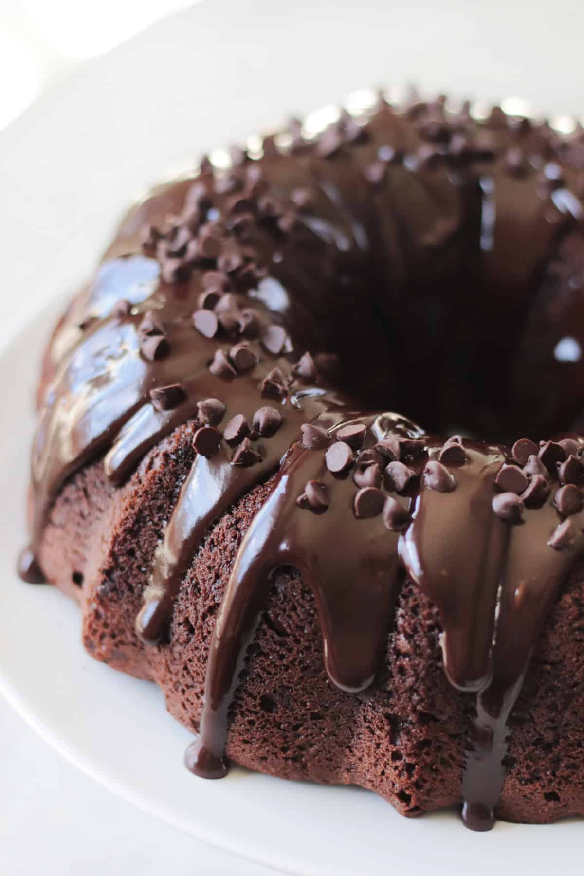 Chocolate bundt cake coated in ganache and mini chocolate chips. 