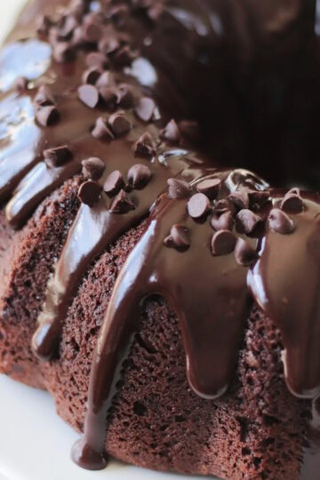 Chocolate cake coated in ganache and mini chocolate chips.