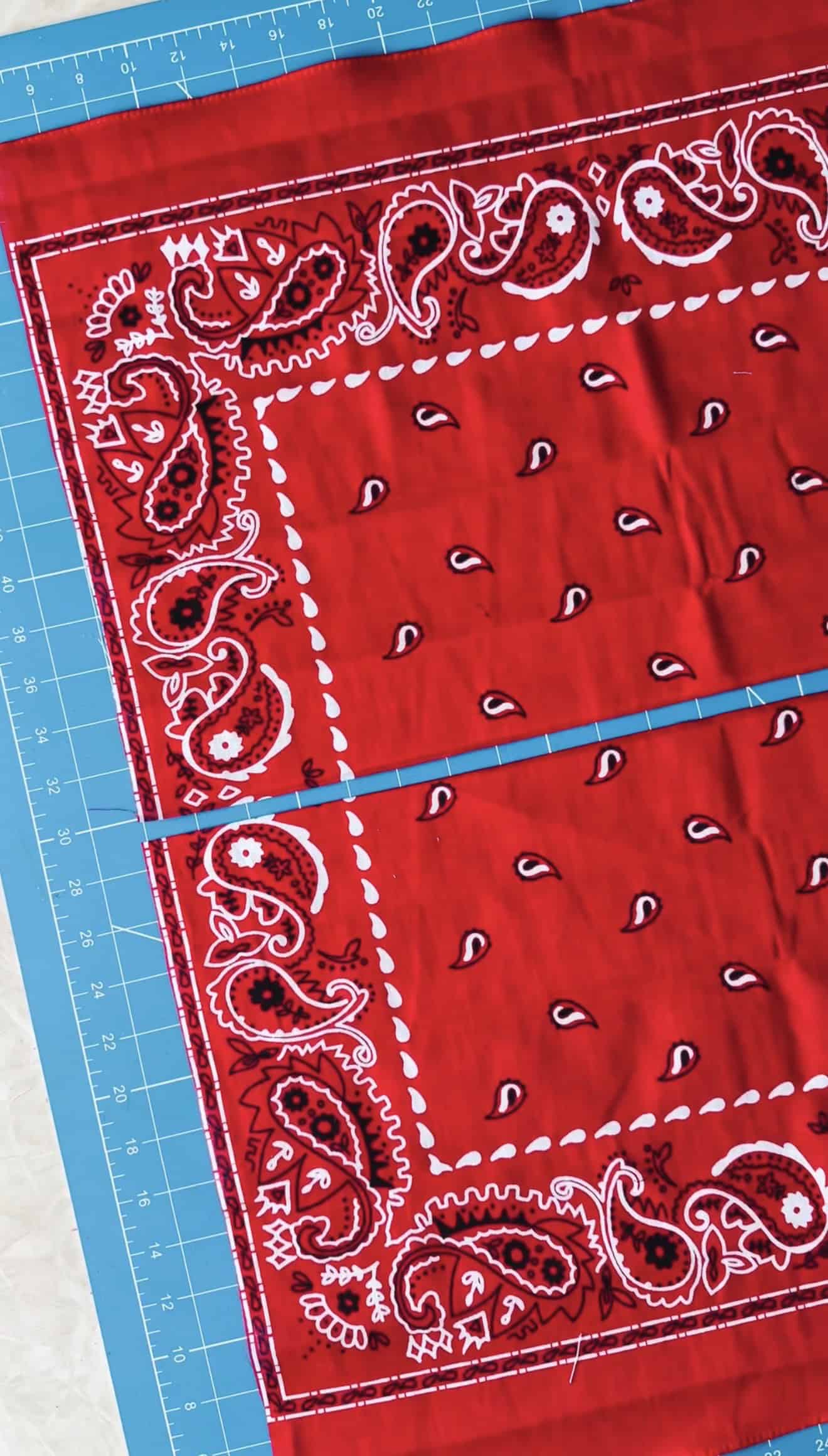 Red bandana cut in half.