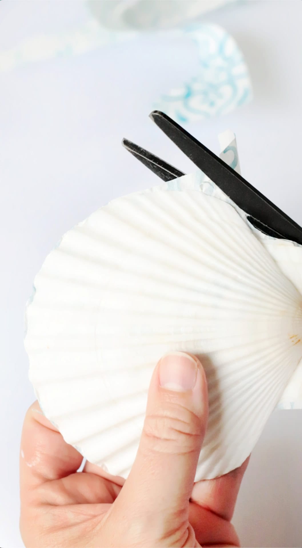 Scissors trimming napkin around the edge of a shell.