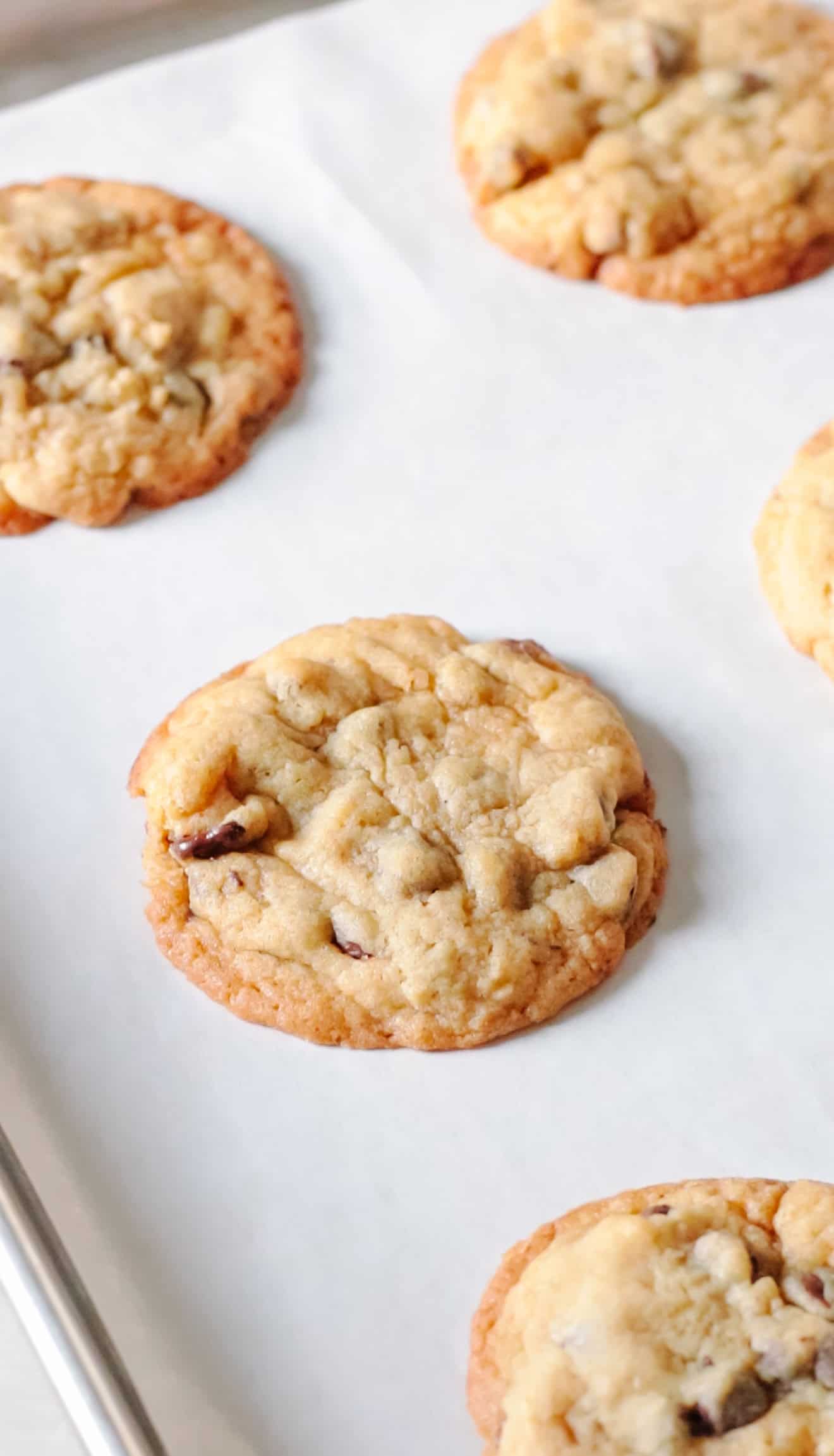 Chocolate chip cookies on parchment lined baking sheet.