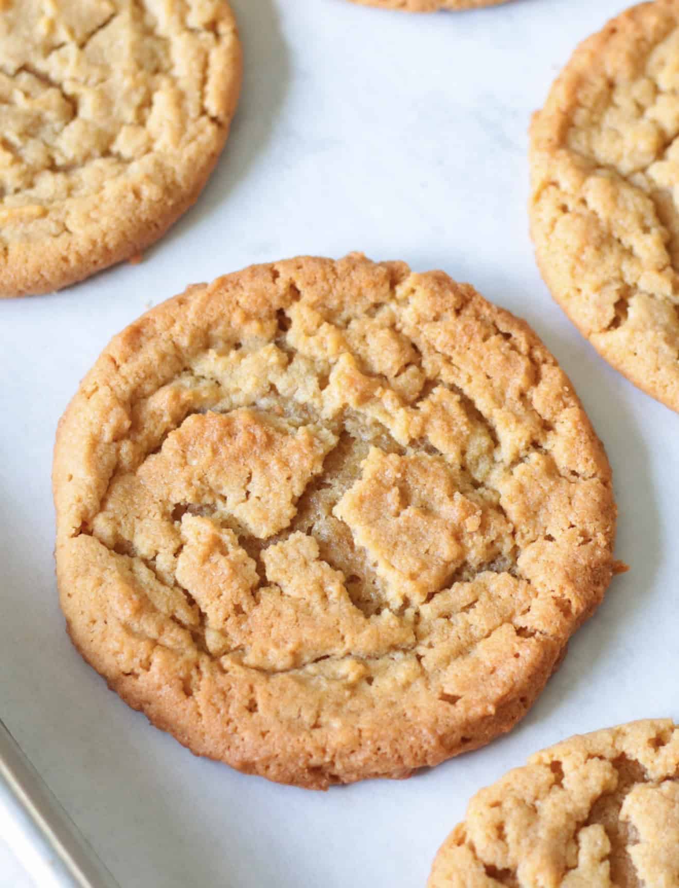 Baked peanut butter cookies on parchment paper-lined baking sheet.