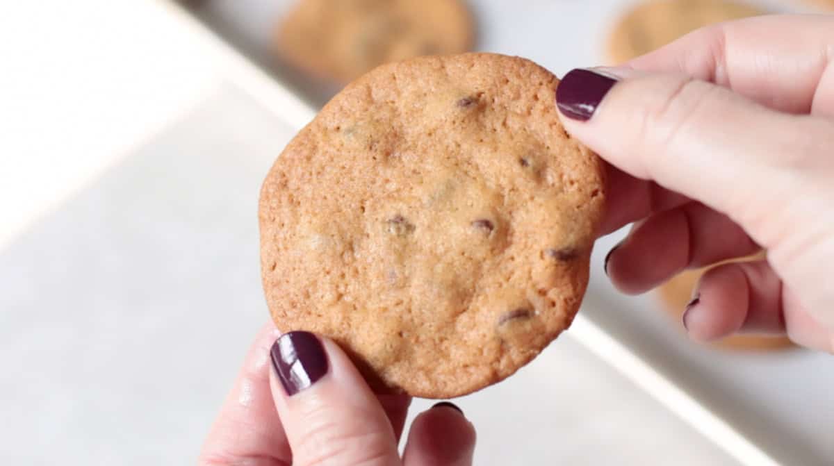 Hand holding crispy cookie.