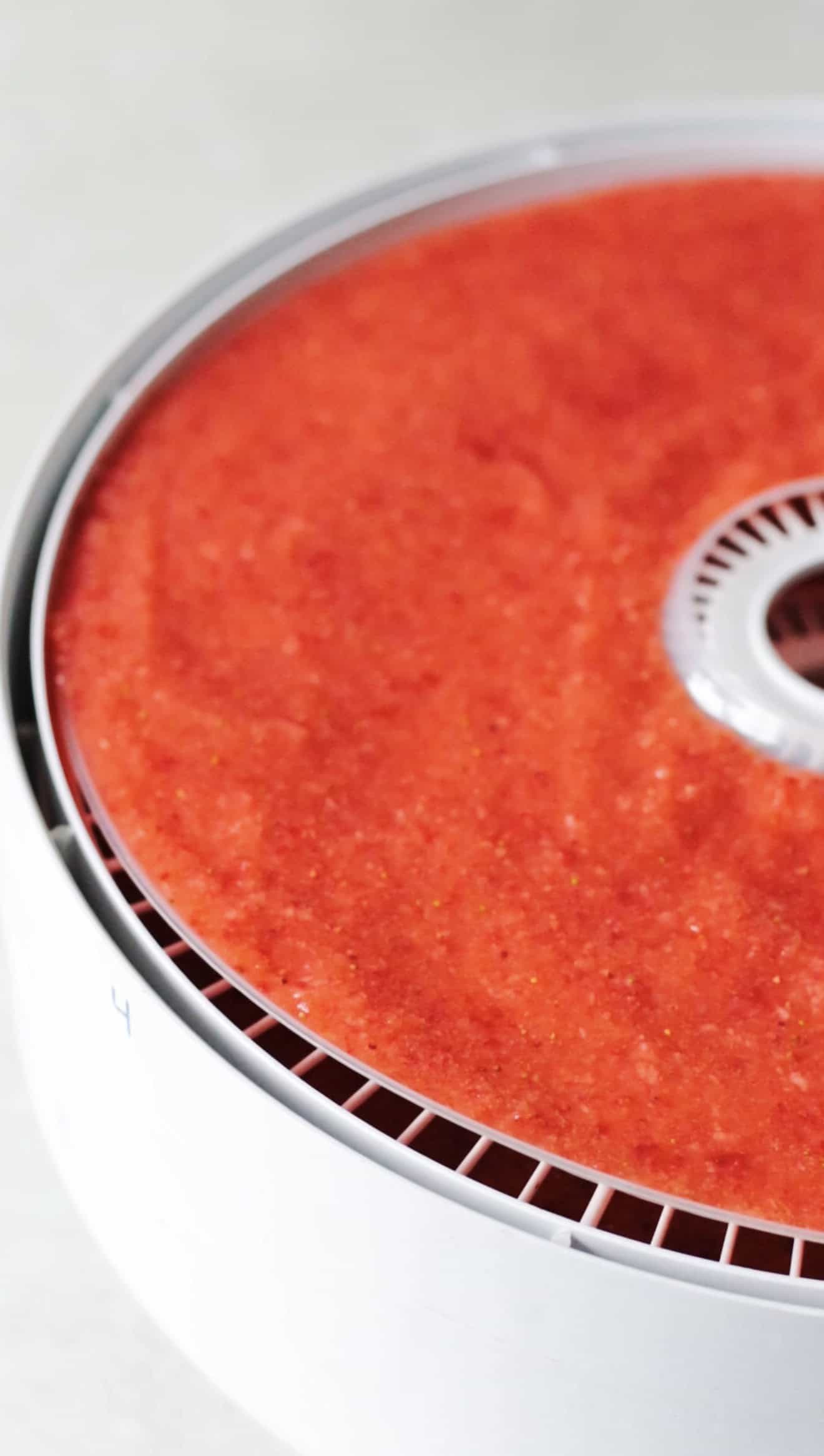 Strawberry fruit leather puree in dehydrator.