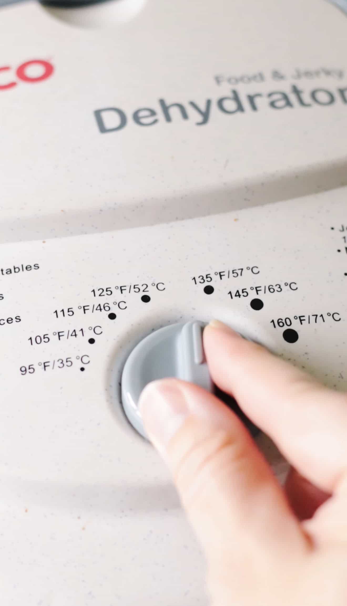 Temperature gauge on dehydrator.