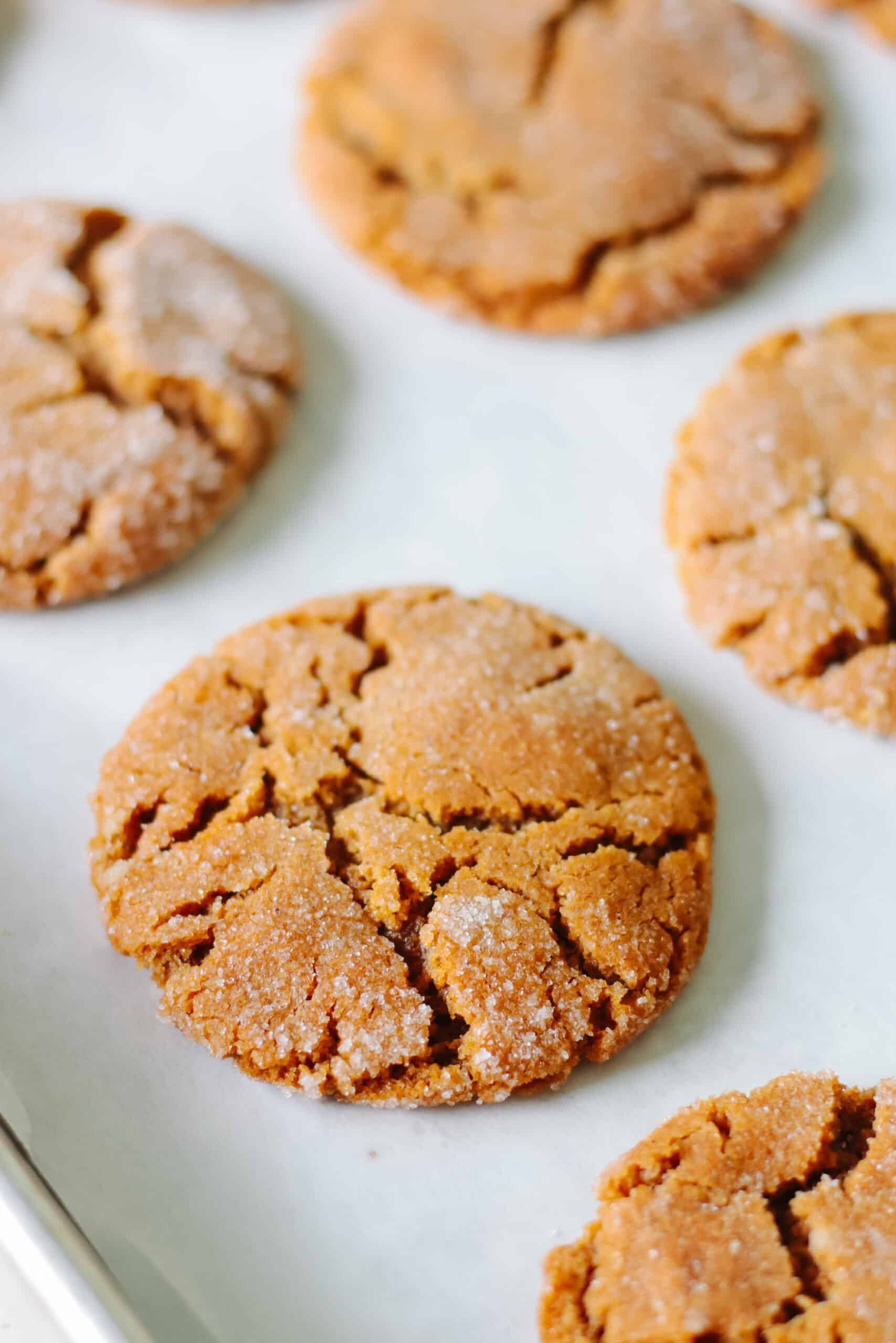 Molasses cookies on baking sheet.