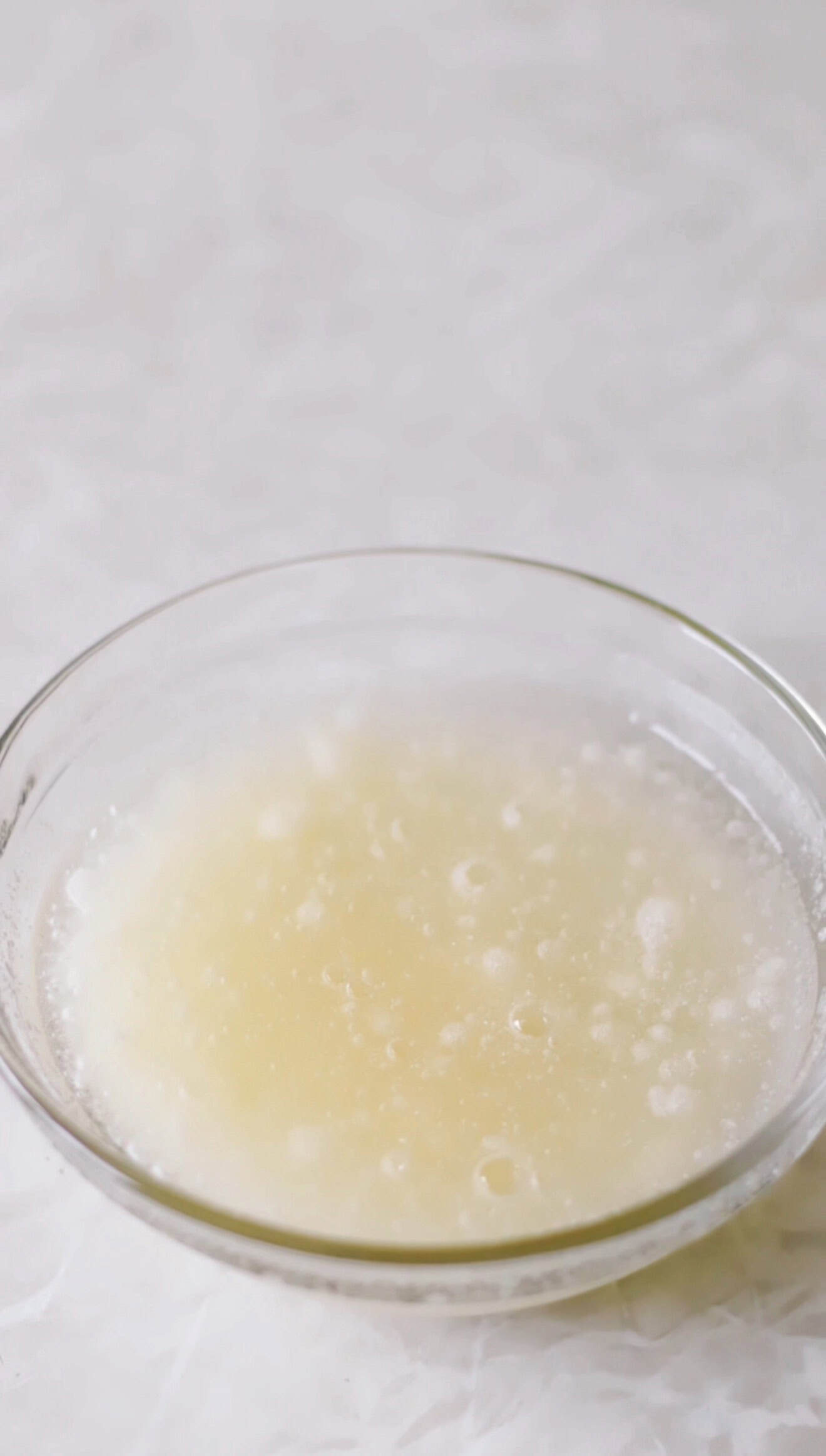 Bowl of gelatin and water.
