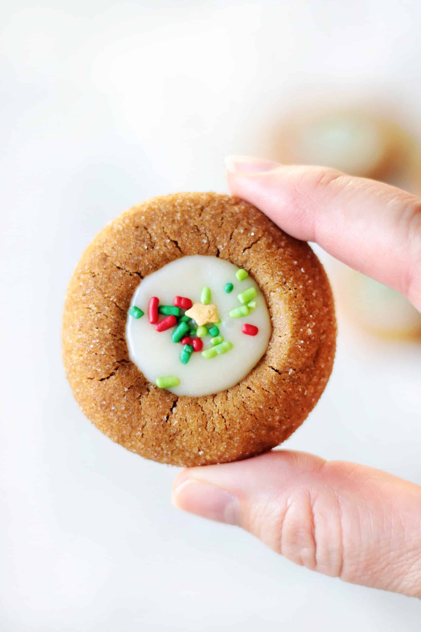 Hand holding cookie.