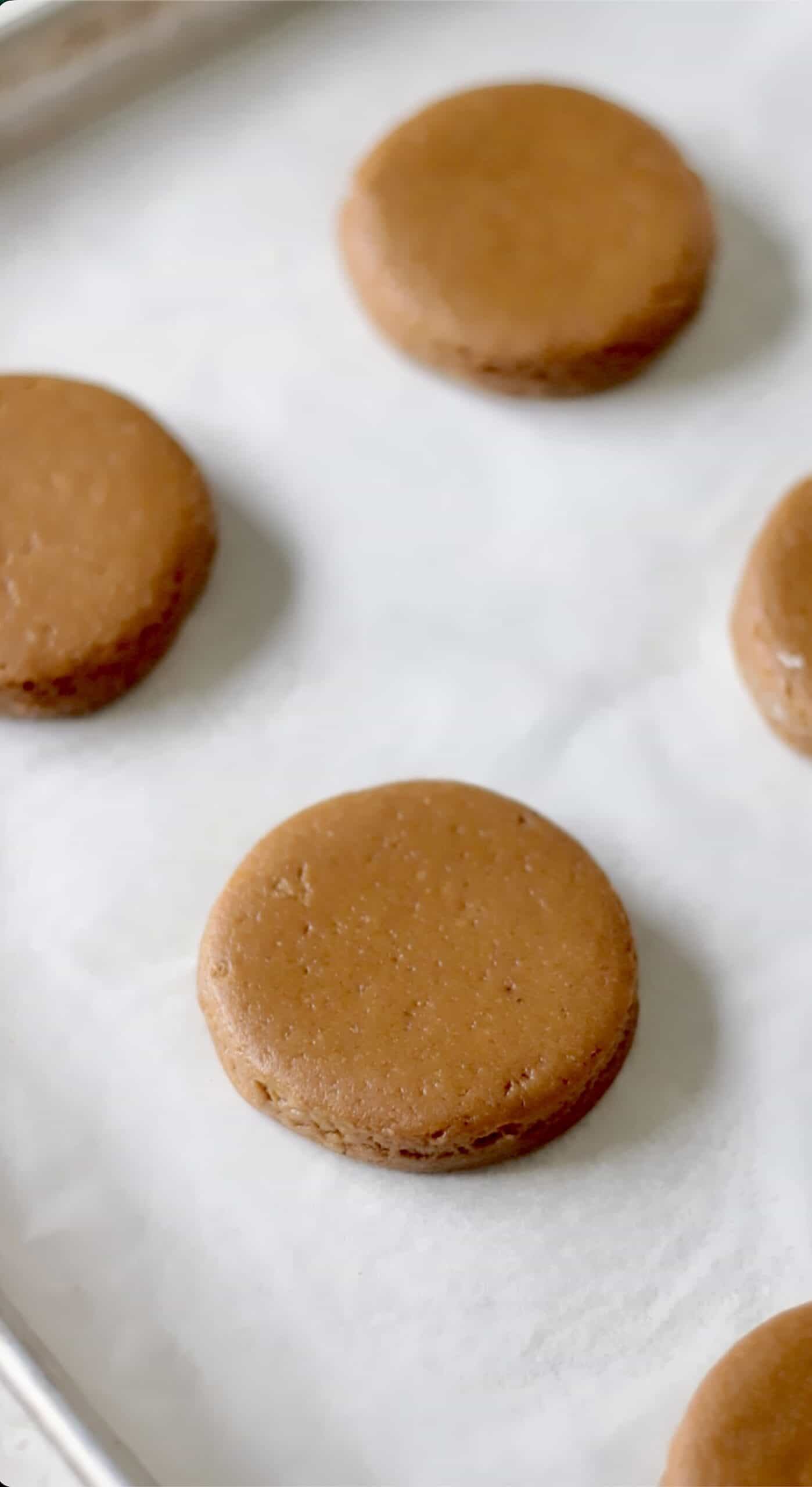 Round cutouts of gingerbread cookie dough on baking sheet.